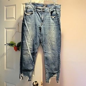Judy blue frayed hem jeans